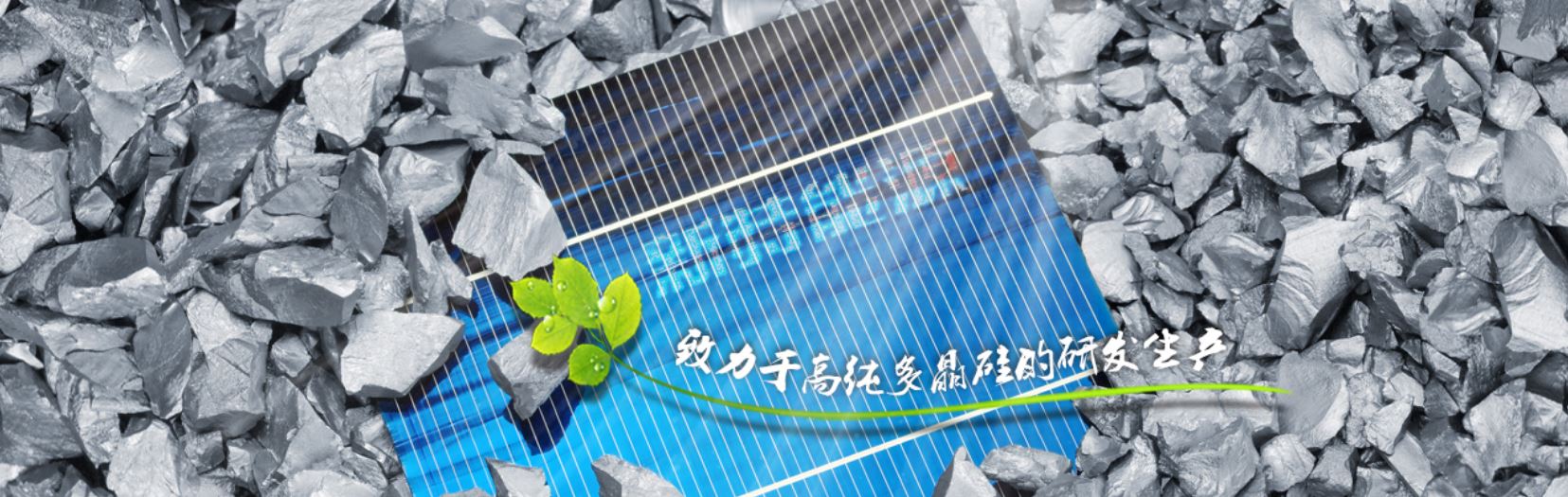 联合赤道环境评价有限公司